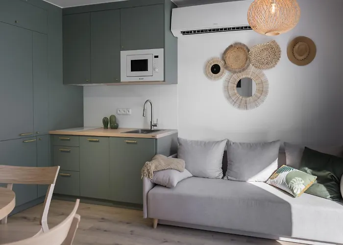 Wyspa Oliwkowy Jastarnia