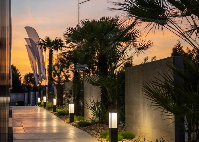 Wyspa Oliwkowy * Jastarnia